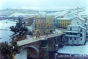 la nevada ms importante de Puente Genil 